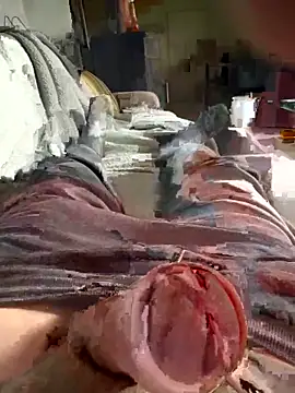 Snapshot of Andy-370 chatting on 09/21/25, 11:56 Andy-370 online show from 09/21/25, 11:56