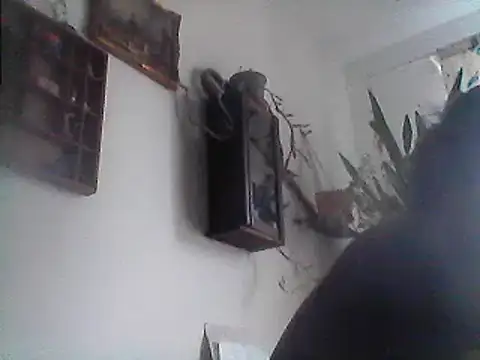 Snapshot of Bigpenis6y chatting on 12/29/24, 01:17 Bigpenis6y online show from 12/29/24, 01:17