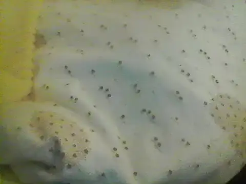 Snapshot of Bigpenis6y chatting on 01/24/25, 05:21 Bigpenis6y online show from 01/24/25, 05:21