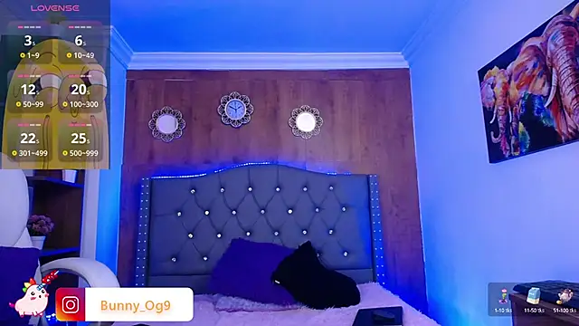 Bunny O online show from 03/04/25, 11:22