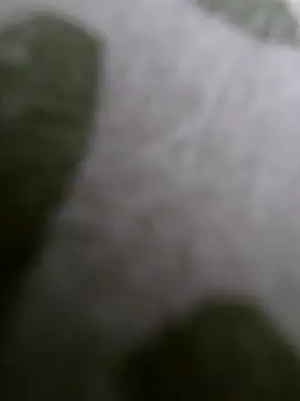 hungarian dick online show from 05/11/26, 01:17