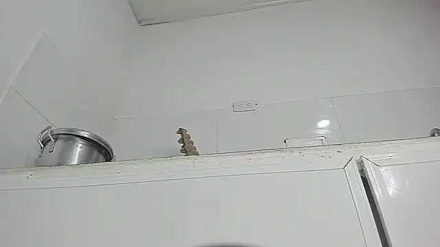 Sophie sweett19 online show from 01/23/25, 03:37