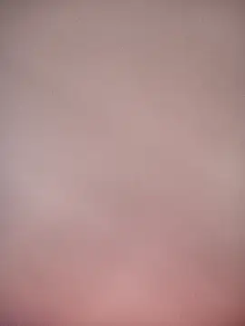 bustybillies online show from 01/06/26, 09:35