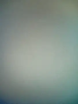 bustybillies online show from 01/17/26, 05:16