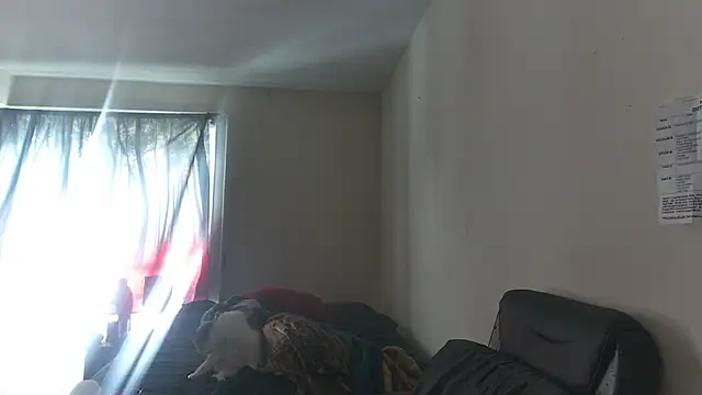 RickStone51 online show from 03/02/26, 07:21