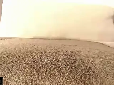 mikellwilliams10 online show from 03/15/25, 01:29