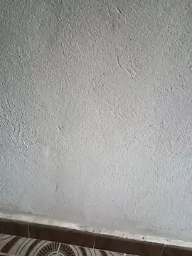 El baby12 online show from 09/24/25, 04:21