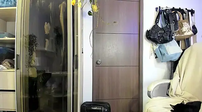 Snapshot of santy-kitty chatting on 01/25/25, 04:13 santy-kitty online show from 01/25/25, 04:13