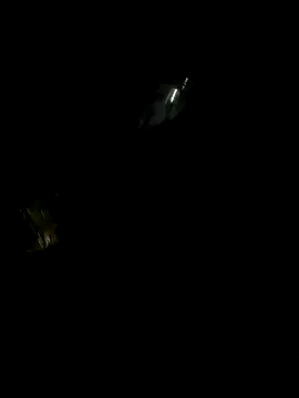 perlita05 online show from 11/16/25, 02:28