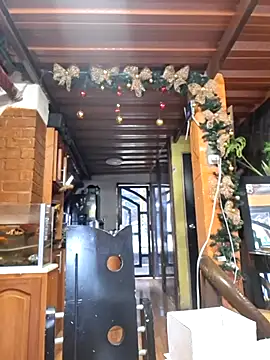 amazonafit  online show from 03/16/26, 09:08