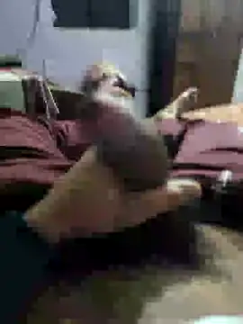 youngbull 21delhi online show from 12/21/24, 08:28