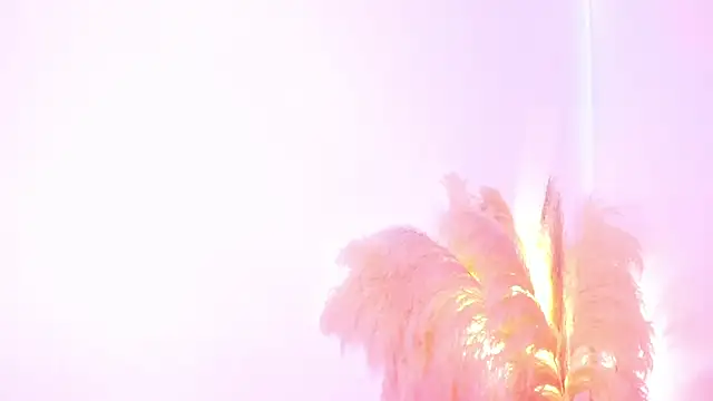 amelie murphy  online show from 02/02/25, 05:04