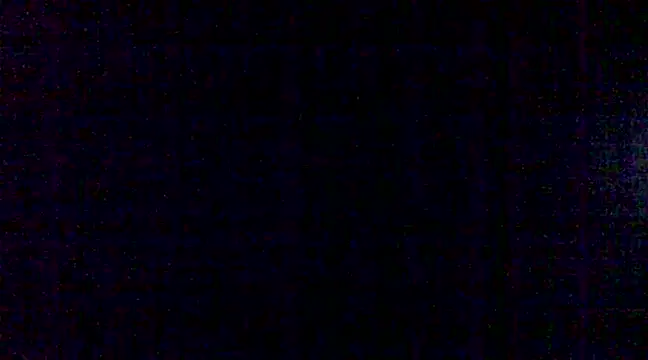 steelwings1976 online show from 01/14/25, 04:08