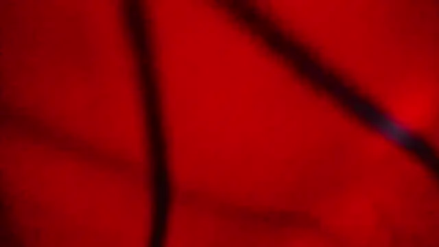 Nathaly love96 online show from 02/20/26, 07:47