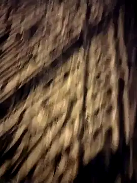 Snapshot of Sperma-V-rotik chatting on 12/14/24, 02:56 Sperma-V-rotik online show from 12/14/24, 02:56