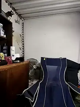 bull Giant online show from 12/13/24, 08:04