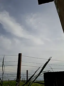 bull Giant online show from 12/22/24, 02:49