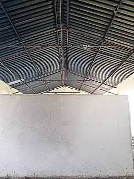 bull Giant online show from 12/24/24, 02:44