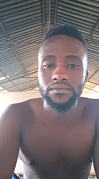 bull Giant online show from 02/12/25, 04:33