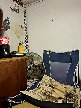 bull Giant online show from 02/25/25, 09:13