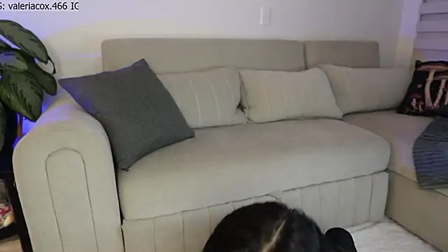 ValeriaCox online show from 03/24/26, 09:36