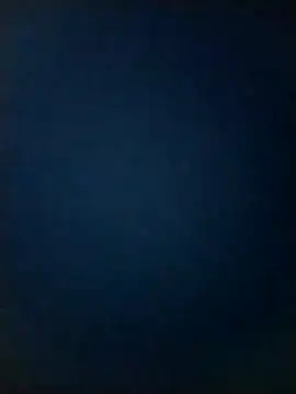 cindy damm online show from 12/21/24, 06:34
