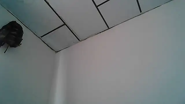 Snapshot of Alphadavid_23 chatting on 04/30/26, 04:02 Alphadavid 23 online show from 04/30/26, 04:02