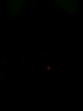 Long Laster online show from 02/12/26, 06:03