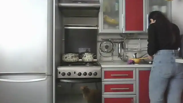 Kashtanka  online show from 03/25/26, 08:53