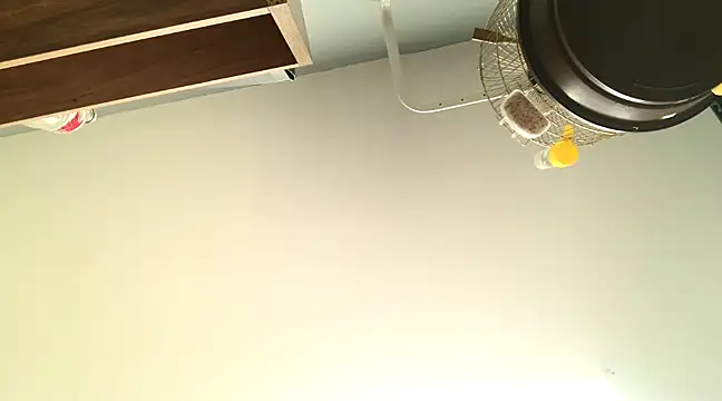 themany29 online show from 01/27/25, 08:17