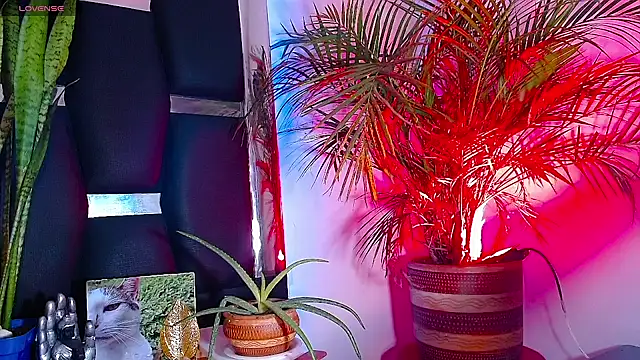 Snapshot of RyanRizzo chatting on 01/22/25, 07:24 RyanRizzo online show from 01/22/25, 07:24