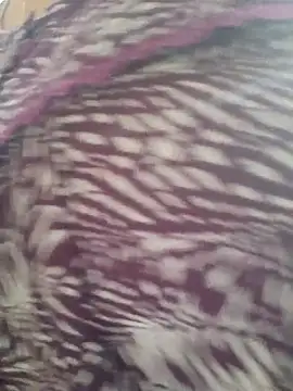 samitasharma online show from 11/14/25, 04:00