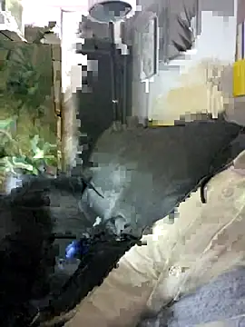 SweetMaddy888 online show from 12/17/24, 06:31