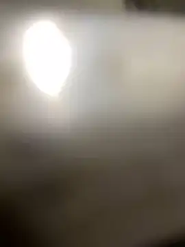 Cesywet online show from 02/23/25, 09:44