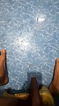 SageElement2 online show from 03/23/25, 07:53