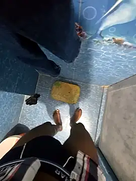 SageElement2 online show from 02/19/26, 08:16