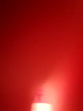 branquinho000007 online show from 11/12/25, 04:40