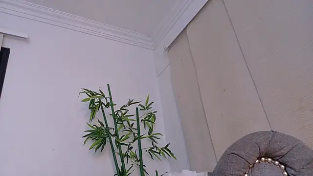 Snapshot of miranda_villa chatting on 12/19/25, 12:01 miranda villa online show from 12/19/25, 12:01