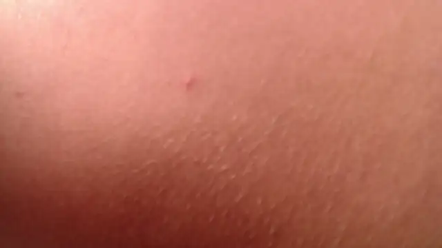 isabella jazz online show from 01/07/26, 04:20