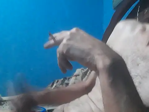 Snapshot of hugosafado333 chatting on 10/15/25, 06:35 hugosafado333 online show from 10/15/25, 06:35