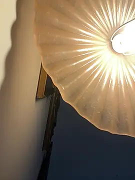 4n4l1zz4m1 online show from 02/05/26, 03:27