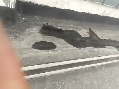 Gururonny07 online show from 01/15/25, 05:29