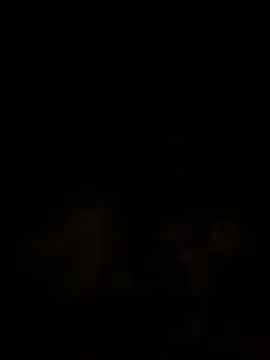 Snapshot of islandvybee55 chatting on 12/18/24, 09:47 islandvybee55 online show from 12/18/24, 09:47