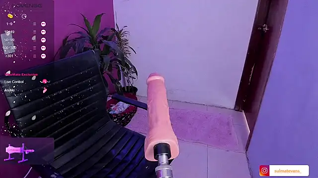 Snapshot of _sulmatevans_ chatting on 01/19/25, 05:49 sulmatevans online show from 01/19/25, 05:49