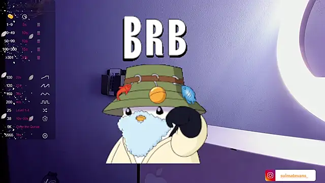 Snapshot of _sulmatevans_ chatting on 01/24/25, 11:48 sulmatevans online show from 01/24/25, 11:48