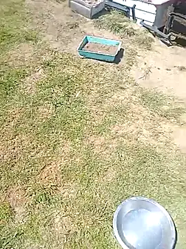 Snapshot of hornyhippies0080 chatting on 03/04/26, 09:59 hornyhippies0080 online show from 03/04/26, 09:59