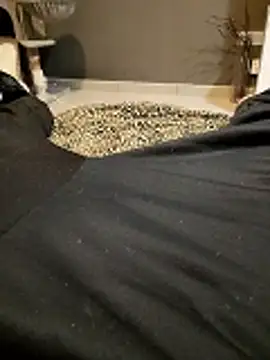 HotBoy6699 online show from 02/11/26, 02:16