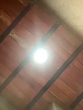 MollySanders    online show from 12/13/25, 10:59