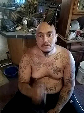 wilsons12 online show from 10/25/25, 02:46