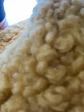 moneymaker taipei online show from 02/25/26, 07:29